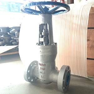 задвижка DIN PN250-DN80-WCB