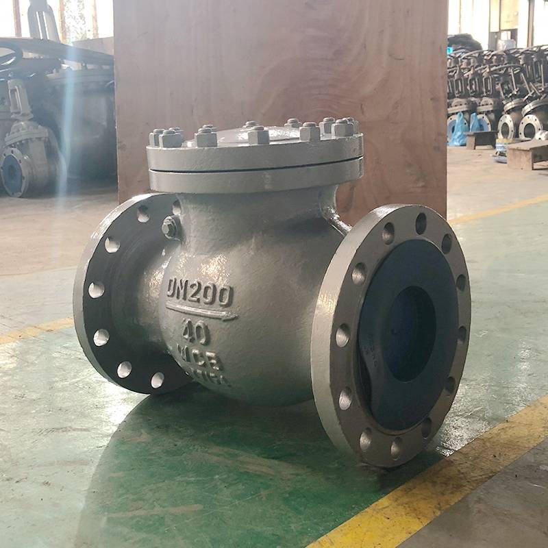 19с53нж Ру40 Ду200