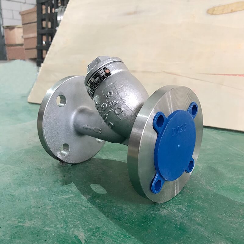 Фильтр-Y-PN16-DN25-CF8