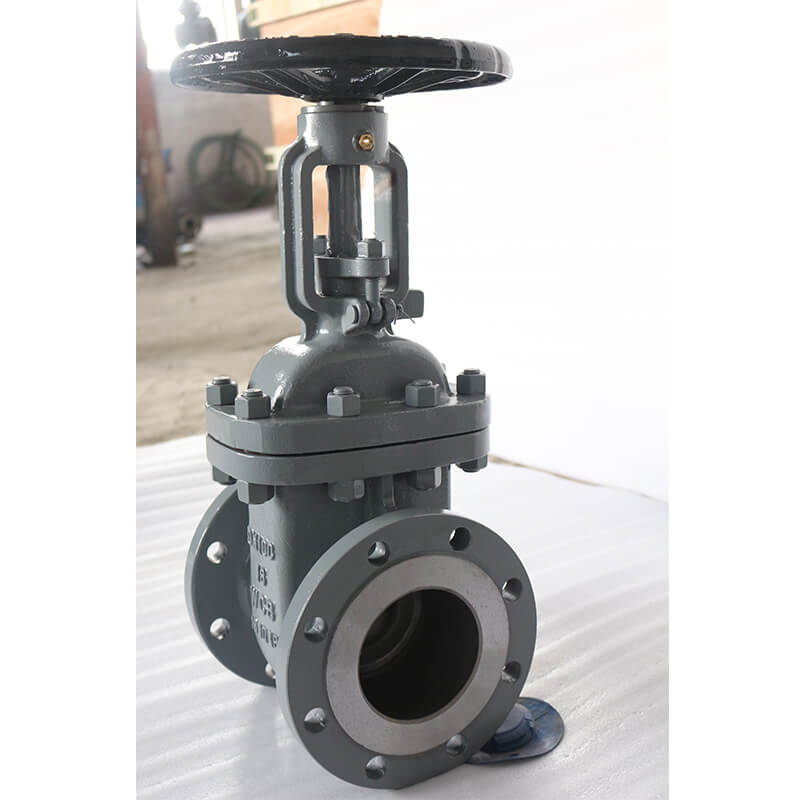 30с41нж DN100